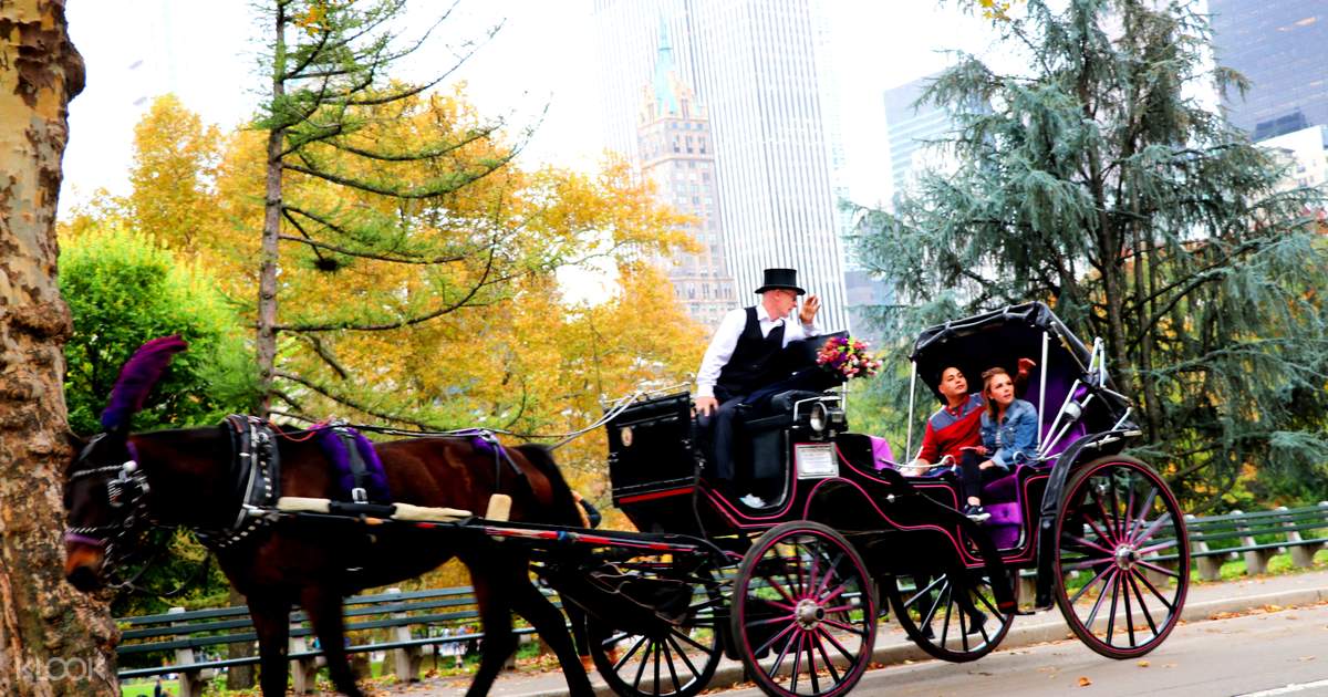 Central park buggy rides shop
